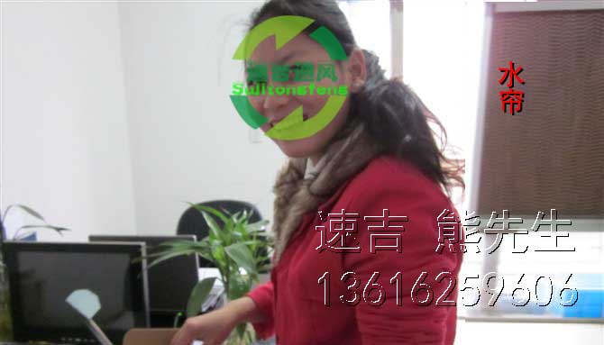办公室安装降温水帘_苏州速吉通风降温设备_办公室样板区